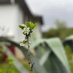 A Casina - En La Ribeira Sacra, Galicia Δωμάτια σε οικογενειακή κατοικία *