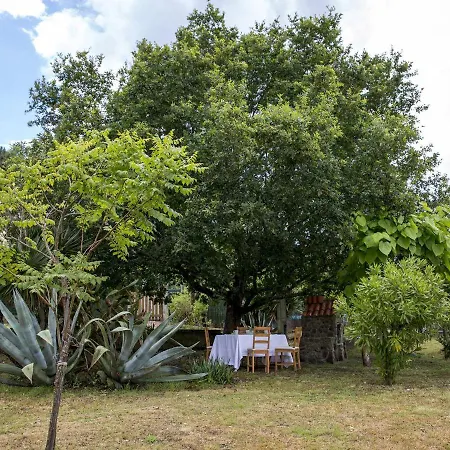 A Casina En La Ribeira Sacra Galicia