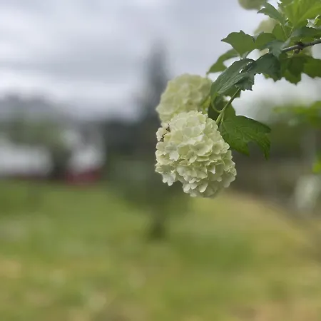 A Casina - En La Ribeira Sacra, Galicia