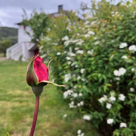 A Casina En La Ribeira Sacra Galicia *