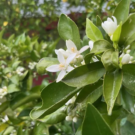 A Casina - En La Ribeira Sacra, Galicia Privatunterkunft