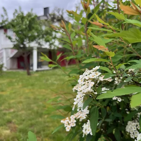 A Casina - En La Ribeira Sacra, Galicia בית אירוח אורנסה