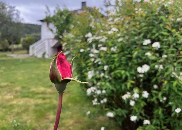 A Casina - En La Ribeira Sacra, Galicia *