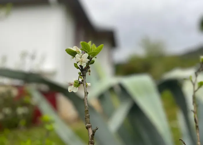 A Casina - En La Ribeira Sacra, Galicia בית אירוח *